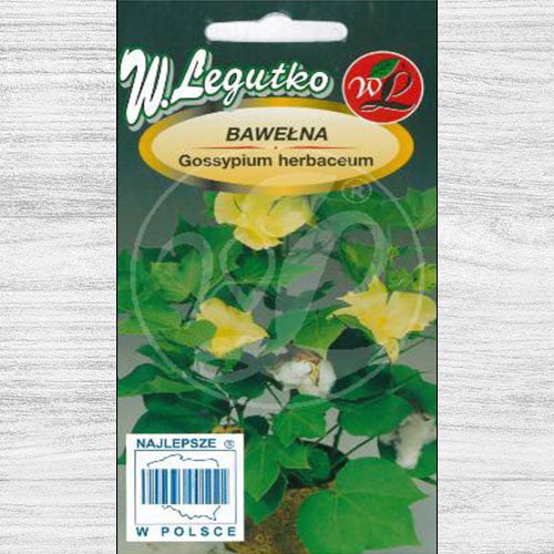 Bawełna indyjska biała interface.image 1 interface.art 78621