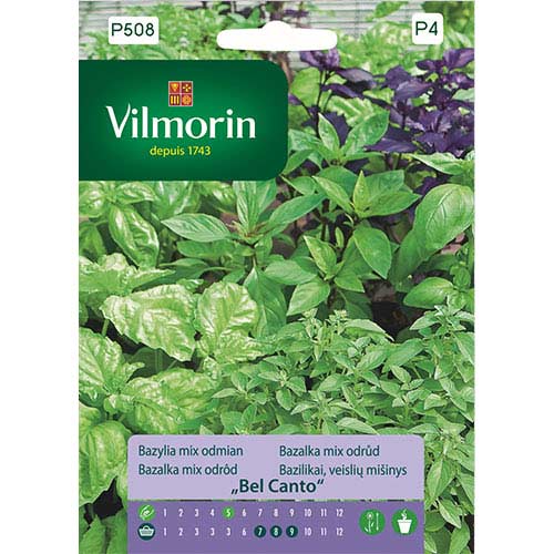 Bazylia Bel Canto, mieszanka Vilmorin interface.image 1 interface.art 77698