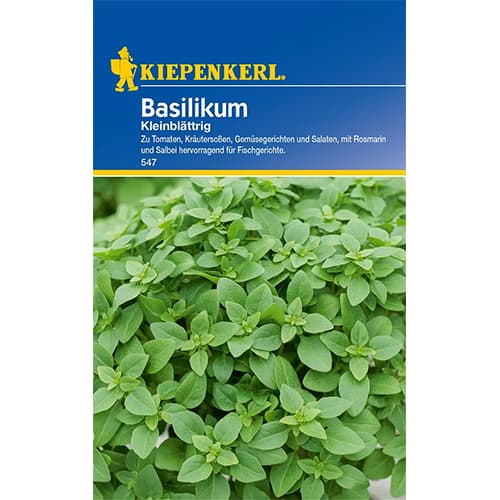 Bazylia drobnolistna interface.image 1 interface.art 77456