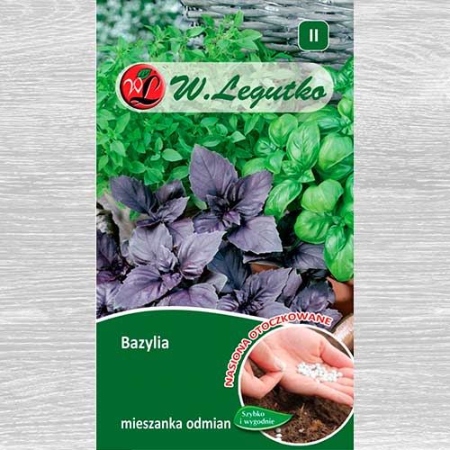 Bazylia, mieszanka odmian interface.image 1 interface.art 69445