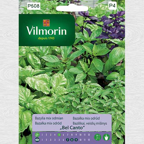 Bazylia mix odmian Bel Canto interface.image 1 interface.art 69701