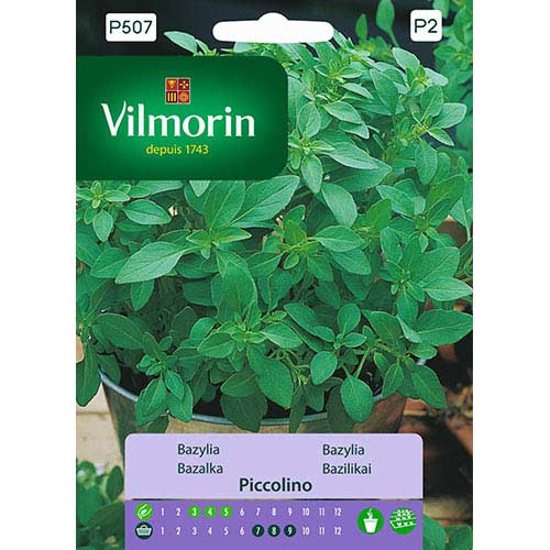 Bazylia Piccolino Vilmorin interface.image 1 interface.art 77699