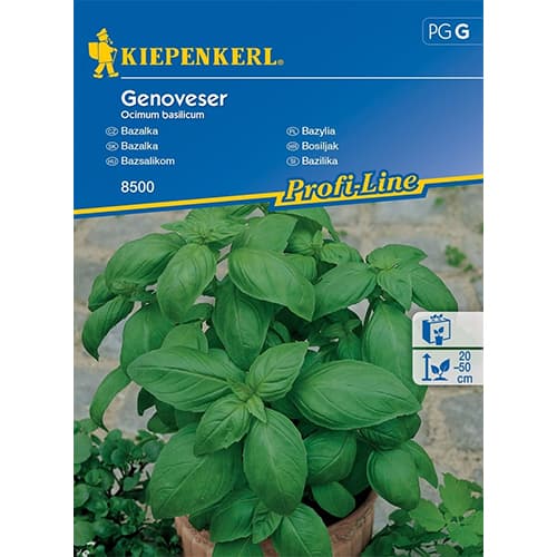 Bazylia Genoveser interface.image 1 interface.art 96592