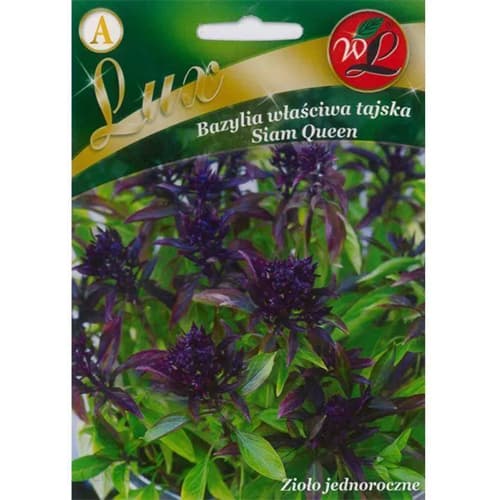 Bazylia właściwa tajska Thai Siam Queen interface.art zdjęcie 1 Bazylia właściwa tajska Thai Siam Queen interface.image 1 interface.art 86840