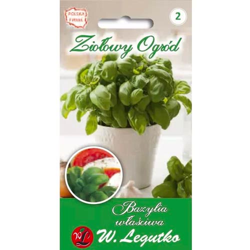 Bazylia zielonolistna interface.art zdjęcie 1 Bazylia zielonolistna interface.image 1 interface.art 50126