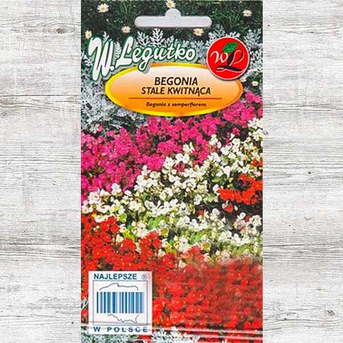 Begonia stale kwitnąca niska Prima F1 dwubarwna interface.art zdjęcie 1 Begonia stale kwitnąca niska Prima F1 dwubarwna interface.image 1 interface.art 86780