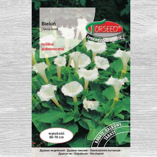 Bieluń biały interface.image 1 interface.art 77520