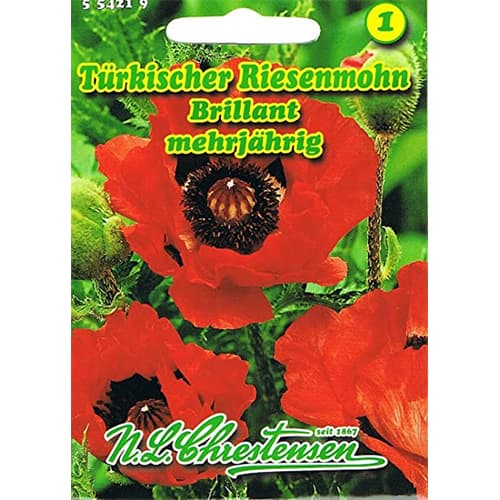 Mak wschodni Brillant interface.image 1 interface.art 78831