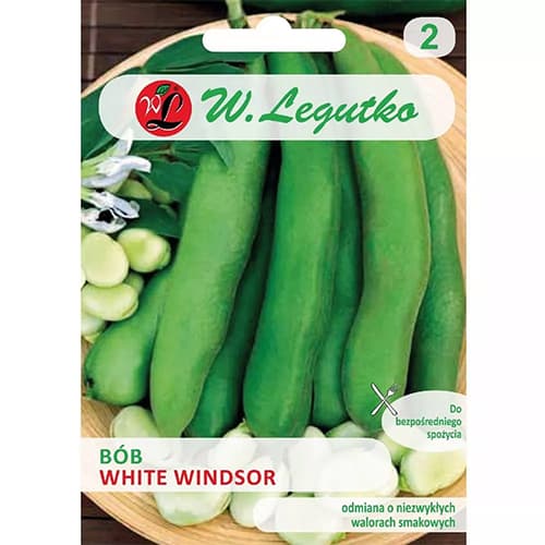 Bób ogrodowy White Windsor interface.art zdjęcie 1 Bób ogrodowy White Windsor interface.image 1 interface.art 78443