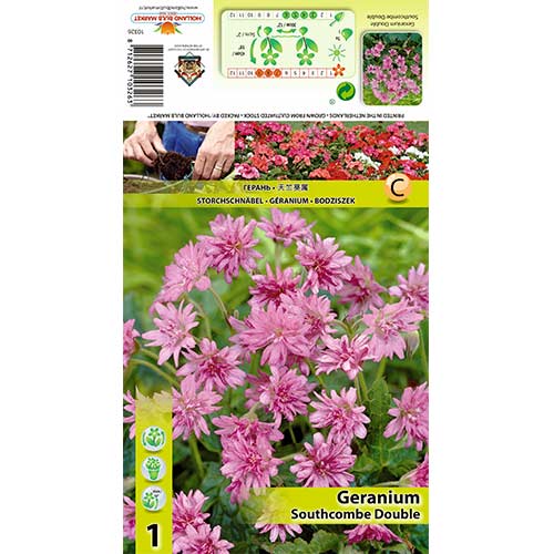 Bodziszek Southcombe Double interface.image 1 interface.art 70391