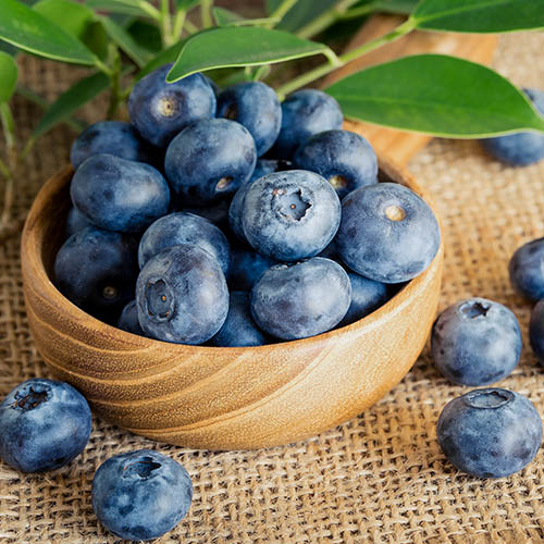 Borówka amerykańska Bonifacy interface.art zdjęcie 1 Borówka amerykańska Bonifacy interface.image 1 interface.art 9291