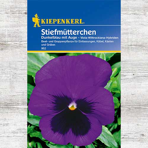 Bratek Dark Blue eyed interface.image 1 interface.art 86334