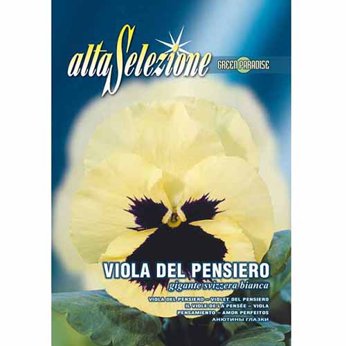 Bratek szwajcarski wielkokwiatowy biały Morami interface.image 1 interface.art 96361