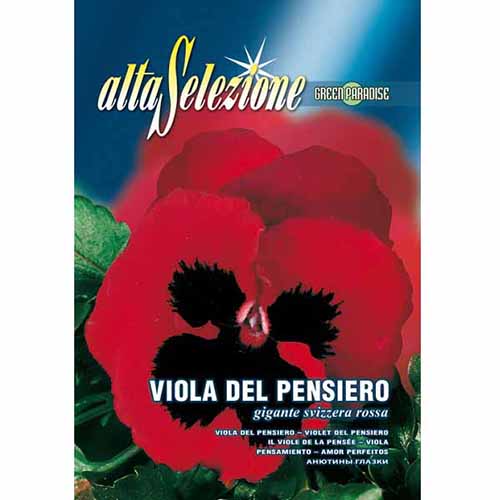 Bratek szwajcarski wielkokwiatowy czerwony Morami interface.image 1 interface.art 96364