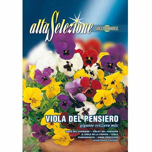 Bratek szwajcarski wielkokwiatowy, mieszanka kolorów Morami interface.image 1 interface.art 96363