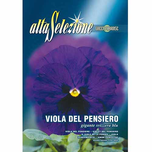 Bratek szwajcarski wielkokwiatowy niebieski Morami interface.image 1 interface.art 96360