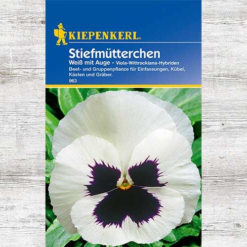 Bratek White eyed interface.image 1 interface.art 86351