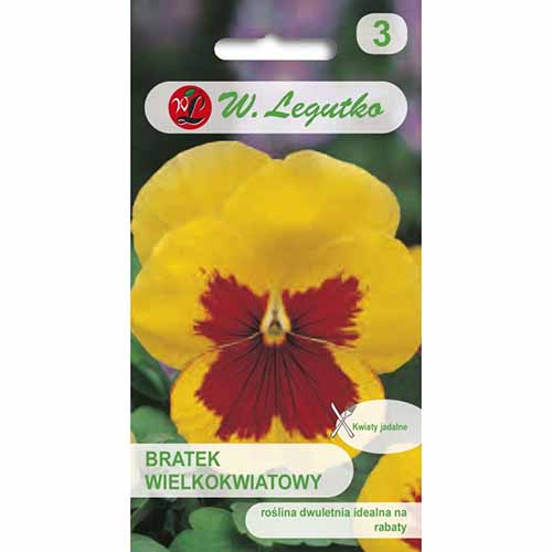 Bratek wielkokwiatowy Early Yellow Red Blotch Legutko interface.image 1 interface.art 96732