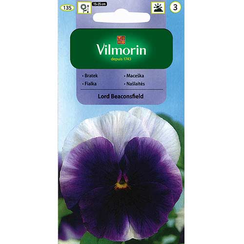 Bratek wielkokwiatowy Szwajcarski Lord Beaconsfield Vilmorin interface.image 1 interface.art 77673