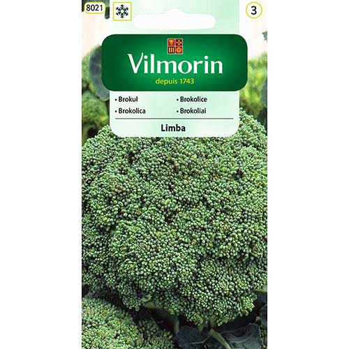 Brokul Limba wczesny Vilmorin interface.image 1 interface.art 77700