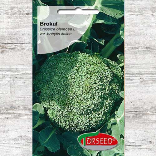 Brokuł włoski Calabrese natalino, nasiona interface.image 1 interface.art 86925