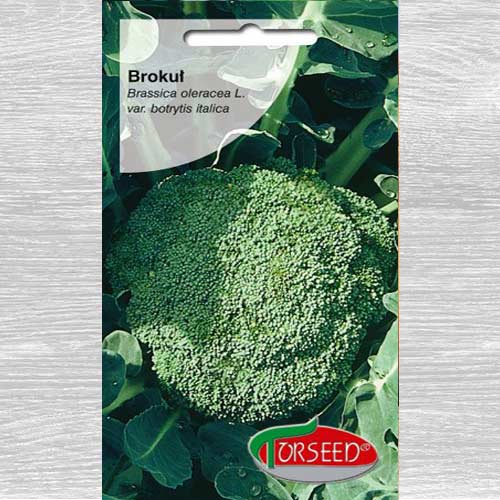 Brokuł włoski Calabrese Natalino interface.image 1 interface.art 77597