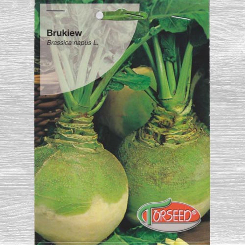 Brukiew Kaszubska biała interface.art zdjęcie 1 Brukiew Kaszubska biała interface.image 1 interface.art 77598