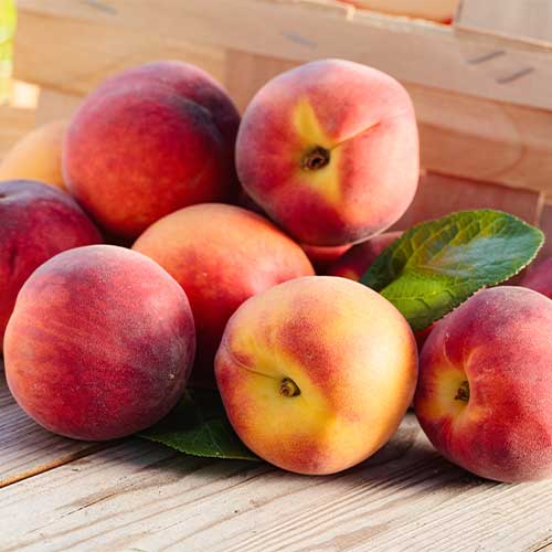 Brzoskwinia Romeo, C2 interface.image 1 interface.art 9678