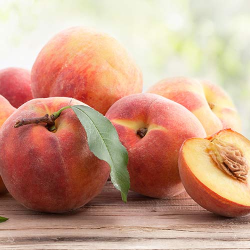 Brzoskwinia Suzee 699 interface.image 1 interface.art 4304