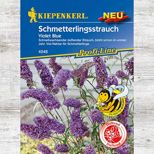 Budleja Davida Violet Blue interface.art zdjęcie 1 Budleja Davida Violet Blue interface.image 1 interface.art 86307