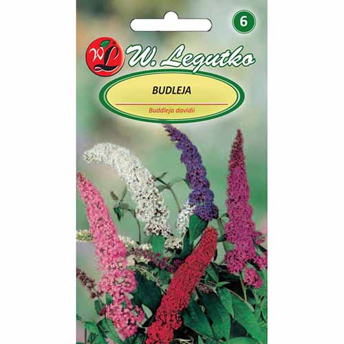 Budleja, mieszanka Legutko interface.image 1 interface.art 96766