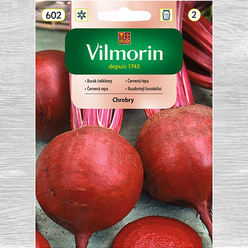 Burak ćwikłowy Chrobry okrągły interface.image 1 interface.art 77703