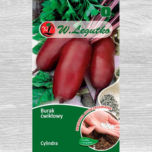 Burak ćwikłowy Cylindra interface.art zdjęcie 1 Burak ćwikłowy Cylindra interface.image 1 interface.art 69420