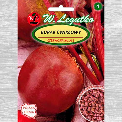 Burak ćwikłowy Czerwona Kula  interface.art zdjęcie 1 Burak ćwikłowy Czerwona Kula  interface.image 1 interface.art 69421