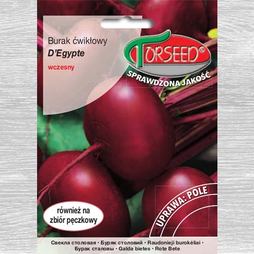 Burak ćwikłowy D'Egypte interface.art zdjęcie 1 Burak ćwikłowy D'Egypte interface.image 1 interface.art 77599