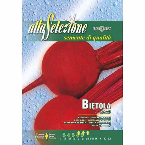 Burak ćwikłowy Detroit Morami interface.art zdjęcie 1 Burak ćwikłowy Detroit Morami interface.image 1 interface.art 87178