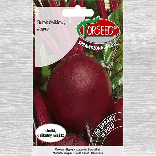 Burak ćwikłowy Jawor interface.image 1 interface.art 77600