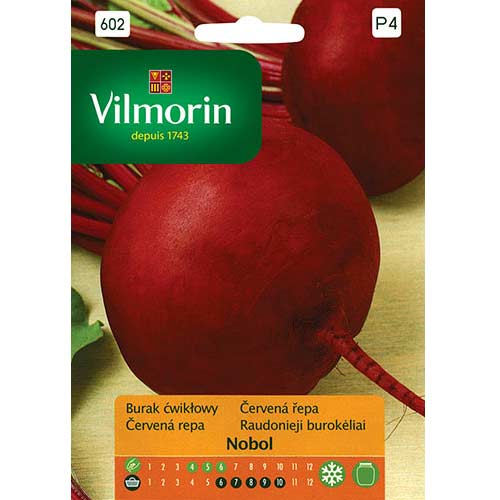 Burak ćwikłowy Nobol Vilmorin interface.art zdjęcie 1 Burak ćwikłowy Nobol Vilmorin interface.image 1 interface.art 77702