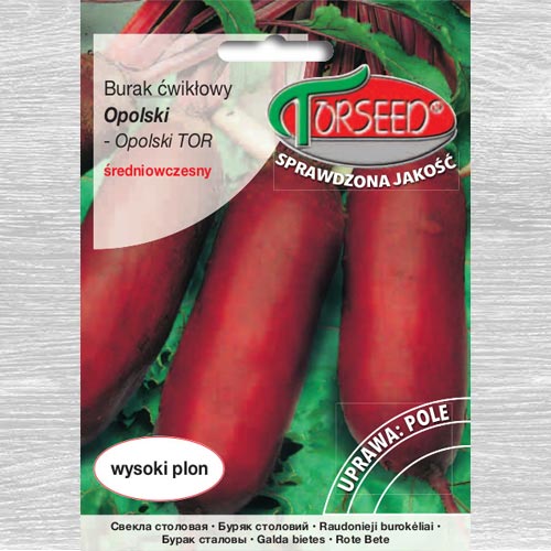 Burak ćwikłowy Opolski interface.art zdjęcie 1 Burak ćwikłowy Opolski interface.image 1 interface.art 77601