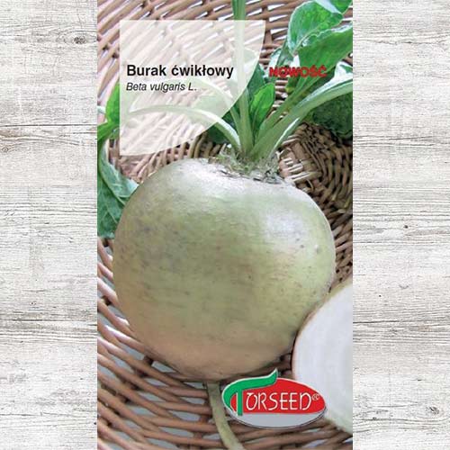 Burak ćwikłowy Śnieżna Kula interface.image 1 interface.art 86927