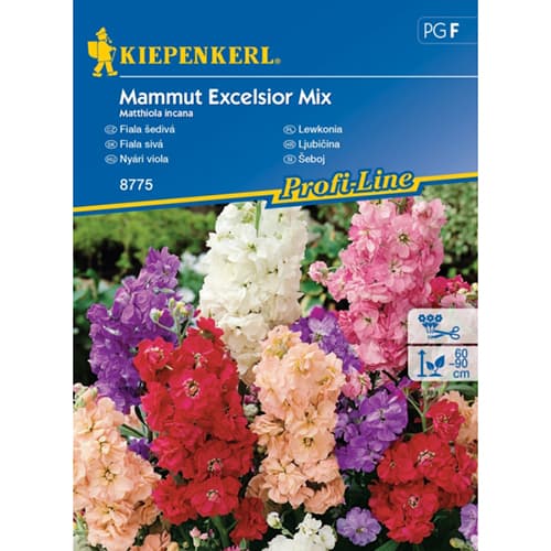 Lewkonia Mammut Excelsior, mix kolorow interface.image 1 interface.art 96558