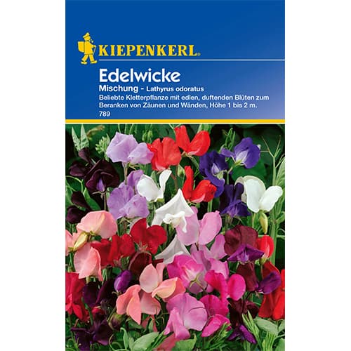 Groszek pachnacy, mix kolorow interface.art zdjęcie 1 Groszek pachnacy, mix kolorow interface.image 1 interface.art 77415