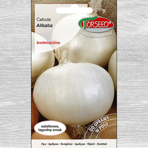 Cebula Alibaba biała interface.art zdjęcie 1 Cebula Alibaba biała interface.image 1 interface.art 77603