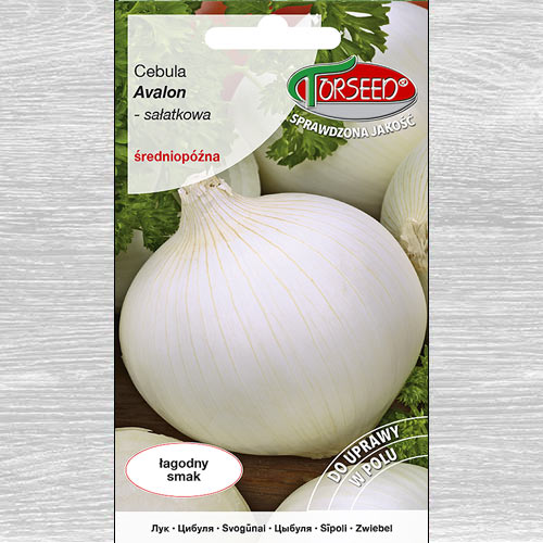 Cebula Avalon biała interface.image 1 interface.art 77604