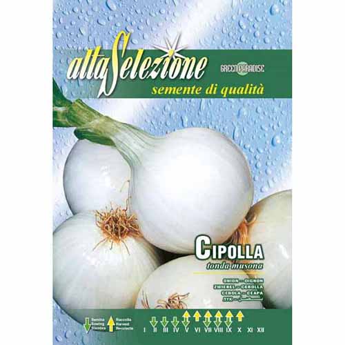 Cebula biała Tonda musona Morami interface.art zdjęcie 1 Cebula biała Tonda musona Morami interface.image 1 interface.art 87146