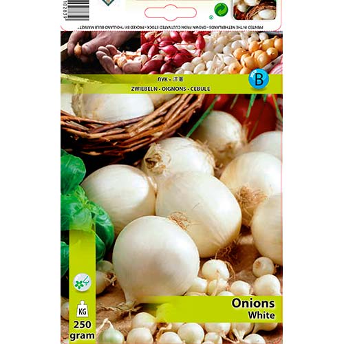 Cebula biała interface.image 1 interface.art 70497