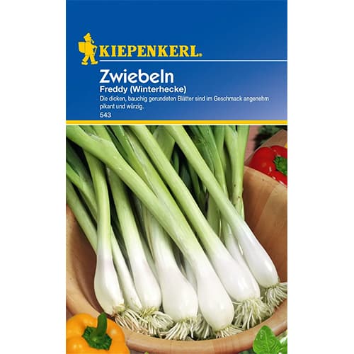 Cebula siedmiolatka Freddy interface.image 1 interface.art 77460