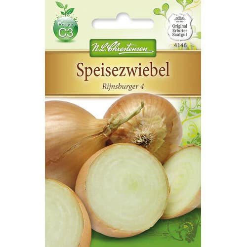 Cebula zolta Rijnsburger 4 interface.art zdjęcie 1 Cebula zolta Rijnsburger 4 interface.image 1 interface.art 78757