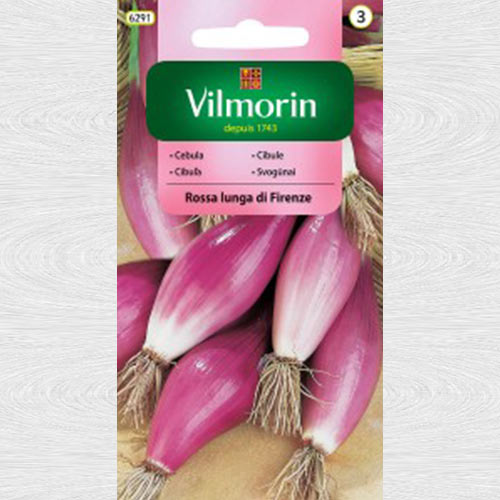 Cebula Rossa lunga di Firenze interface.image 1 interface.art 69729