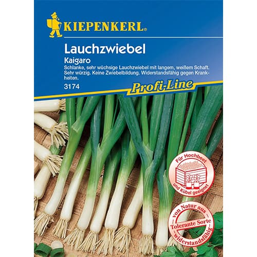 Cebula siedmiolatka Kaigaro interface.image 1 interface.art 87283